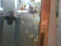 videos de MVI_3463.avi