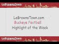 Ohio State WR DeVier Posey Throws a Touchdown Pass to Dane Sanzenbacher Against New Mexico State