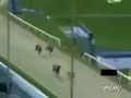 Dog Cheats During Race