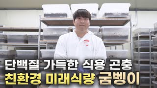 농촌진흥청 청년농업인TV