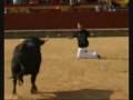 toros mecheria 45
