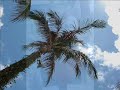 輝く明日へ・2008（鉢嶺元治）