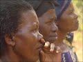 Programme hatching for improved indigenous chickens