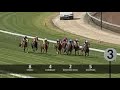 2008 Beyond Sportswear Stakes, Tindal