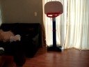 Future Basketball Star Future Basketball Star