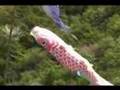 Flying Carps on Children's Day! (Only in Japan! 12)