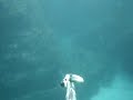 Robalo