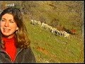 CANALSUR2 - CON LUPA: LUGROS PARTE2 CANALSUR2 - CON LUPA: LUGROS PARTE2