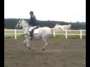 Kamilla Gade og Siglavy Viola 110cm