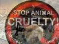 Help the Animals- Gomensai