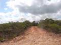 Cape York 06: Day 4 part I