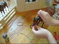 Breyer Halters [Fried Skittles Styled]