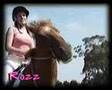 Horses of The Paddock