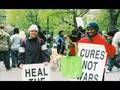 The Elm Tree :: 2008 Drug Peace march
