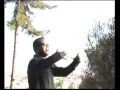 Dawit Shilan_Eritrean Singer_KISAB LOMI