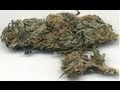 D-Bomb - Marihuana