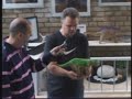 OSG Schiedam & LookTV Dino