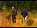 Fiordland: Guardians of the Lakes