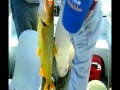 DE PESCA 2do. ciclo 1er programa DE PESCA 2do. ciclo 1er programa