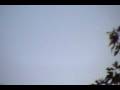 UFO!! must see!!