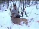 Wisconsin Whitetail Deer Hunts