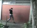 videos de Corrida maluca
