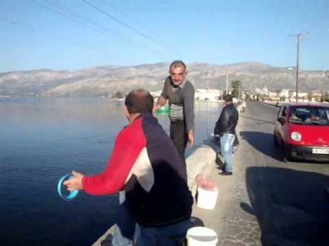 ΑΙΤΩΛΙΚΟ - ψάρεμα στα γεφύρια - FISHING in GREECE-ETOLIKO.wmv