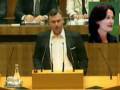 Grüne Dreckschleuder - Eva Glawischnigs Öko-Auto