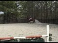 Fizzicus: Off the Track