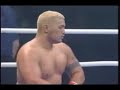 Jerome Le Banner - Mark Hunt