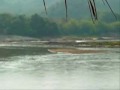 Laos Speed Boat Wicked