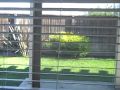 Rent to Own in Roseville!! (Alicante)