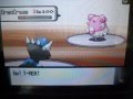 videos de Pokemon Wifi battle#8:KingQuilfishy vsLowOnHp(lampshade0wns)