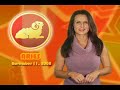 Aries Horoscope November 11, 2008 Aries Horoscope November 11, 2008