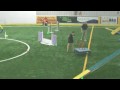 videos de Forest City DTC Agility Trial June 26, 2009