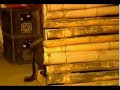 Watch 'Perro y mono'