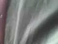 barney de morelia pazon