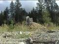 Ver Video