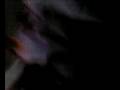videos de SV A0010