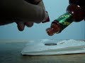 How to Clean a Penny How to Clean a Penny