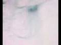 videos de wot the hell