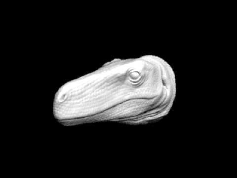 herrerasurus
