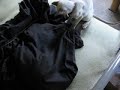 George the Siamese kitten versus the Sheet Monster George the Siamese kitten versus the Sheet Monster