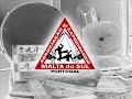 Shows de Capoeira Grupo Muzenza Algarve