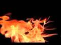 HELLYEAH DVD Trailer #1