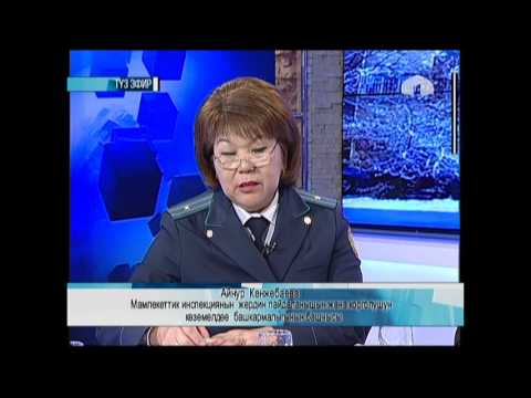 Маанилүү маек: "Техникалык коопсуздук маселеси" 