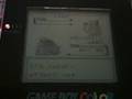 Pokemon Crystal Gym Battle Vs Whitney
