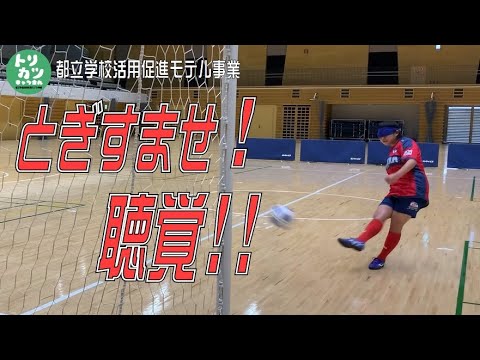 YouTube動画