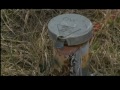 What are effects of chemicals in LeRoy?