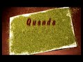 video completo della canzone
